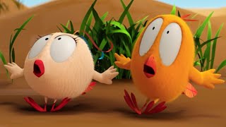 Wheres Chicky  👻 A TERRIFYING DISCOVERY  NEW episodes in HD [upl. by Negyam]