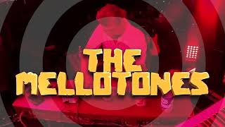 FridaySet 4 The Mellotones at BAINFEST 2023 [upl. by Nesyt]