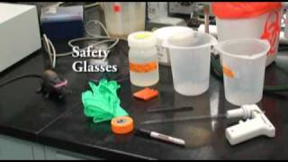 Protein Purification with Dialysis Tubing [upl. by Onidranreb160]