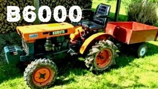 Kubota B6000 Beast [upl. by Supat]