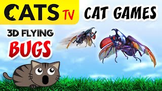 CAT GAMES  Rhinoceros beetles bugs 🙀🪲 60FPS CATS TV [upl. by Holna]