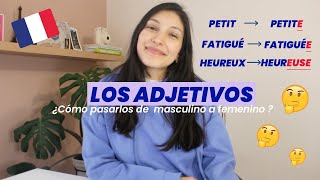 LOS ADJETIVOS EN FRANCÉS 🇫🇷 ¿Cómo pasarlos a femenino y plural [upl. by Draneb]