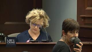 Rosenbaum Trial Day 8 Witness Anne McCullough Dr Stephen Messner Child Abuse Pediatrician [upl. by Rora]