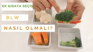 EK GIDAYA GEÇİŞ  BLW YÖNTEMİ NASIL UYGULANMALI BABY LED WEANING [upl. by Risa]