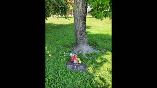 Cenotaph for murder victims Michael Baker and John Mayeski [upl. by Tildy]