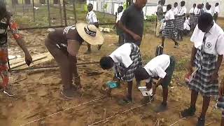 Pupils of Enugu Smart Green School Learn Practical Agriculture Skills [upl. by Durno]