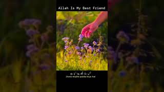 Allah is with me allah shortvideos shorts shorts [upl. by Arlette]