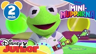 MiniMupparna  Lär känna Kermit 🐸 Disney Junior Sverige [upl. by Enohs]