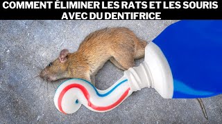 Comment éliminer les rats et les souris avec du dentifrice [upl. by Stutman]