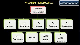 Vitaminas hidrosolubles Vitamina B2 o Riboflavina [upl. by Ahearn50]