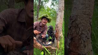 Men help remove parrots from eagle nestspart02parrot eagle bird beautiful funny [upl. by Duomham354]