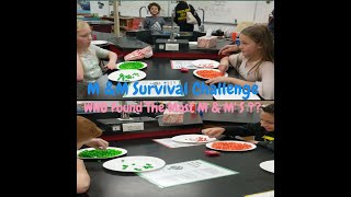 M amp M Survival Challenge Who Found The Most M amp Ms   Book FAIR  Family Fun Night [upl. by Strenta]