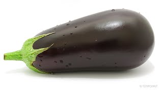 Rotting Eggplant Time Lapse [upl. by Catriona]