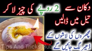 Get Rid Of Mosquitos  Machar Bhagane Ka Tarika  Mosquito Killer Homemade [upl. by Otis]