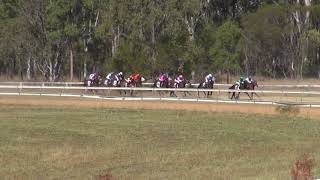 Nanango Races 03082019 Race 1 [upl. by Pegg]