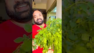 Moringa leaf curry shortsfeed moringa recipe odia shorts cooking foryou food [upl. by Ahab849]