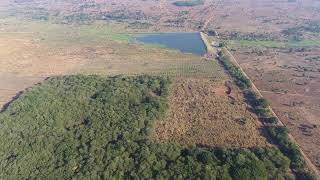 Lisoka  Bamboo Plantation Malawi [upl. by Aisauqal]