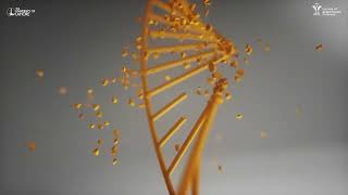 Genetic Mutation  Gene Mutation  3D Animation [upl. by Ing825]