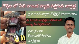 Blue tongue disease in sheep గొర్రెలలో నీలి నాలుక వ్యాధి [upl. by Sifan827]