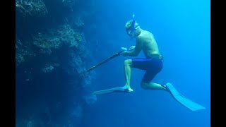 Spearfishing at Fatu Hiva [upl. by Nanoc]