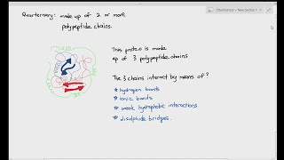 212 Proteins Tertiary amp Quarternary Structure Cambridge AS amp A Level Biology 9700 [upl. by Peta]