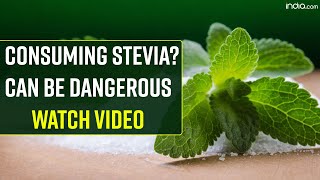 Stevia Side Effects Consumption Of Stevia On A Regular Basis Can Have Adverse Effects On Health [upl. by Neelyar]