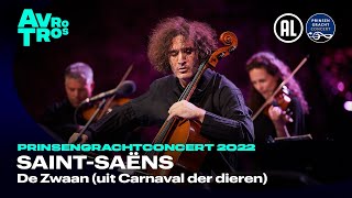 SaintSaëns ‘De Zwaan’  Nicolas Altstaedt amp Friends  Prinsengrachtconcert 2022 [upl. by Galvan]