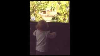 Copy of edf energy advert funny dancing baby [upl. by Almond]