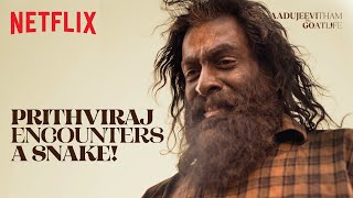 Prithviraj NARROWLY ESCAPES a DEADLY Snake  Aadujeevitham  Netflix India [upl. by Ty736]