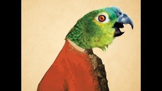 Parrot singing opera original video [upl. by Handbook]