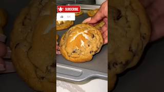 Chocolate Chip Cookie Smores Recipe [upl. by Nnaeed]