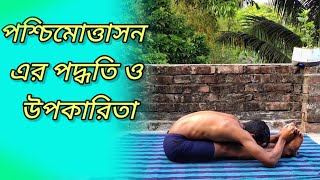 পশ্চিমোত্তাসন এর পদ্ধতি ও উপকারিতা  how to do paschimottanasana  Bengali yoga [upl. by Montanez]