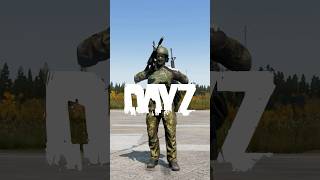 The Ultimate DayZ PVP Guide 🔫 [upl. by Zullo]