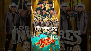 Conjunto Primavera Polo Urias Los Rieleros Del Norte Los Huracanes ⚡Puras Norteñas Viejitas [upl. by Hoebart653]