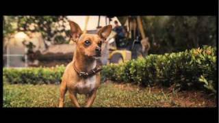 PUPPY LOVE Trailer 2023 Lucy Hale Grant Gustin [upl. by Aehsila764]