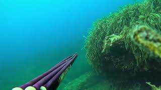 Test GoPro 12 en subaquatique sur harpon de pêche sousmarine et sur masque [upl. by Nerha]