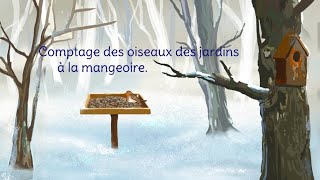 Comptage des oiseaux des jardins 2024 [upl. by Nibaj]