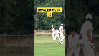 HEROS OF LOCAL UK CRICKET BOWLED OUT 🏏🏏🏏 ABSports1 [upl. by Inor]