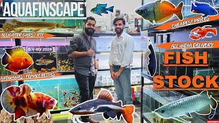 Shop Visit80 New Fancy Stock of Fishes  AQUAFINSCAPE Shop Monster Fishes Exotic fishes [upl. by Patrizius]