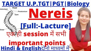 UPTGTPGTLT Grade biologyNereis Full lactureUptgtpgtbiologyclasesBsc biology By Priyal bhati [upl. by Ttevy]