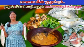 பாலை மீன் குழம்பும்🐟  முரல் மீன் பொரியலும் வல்லாரை சம்பலும்  cooking for fish curry  VR VLOG [upl. by Liban320]