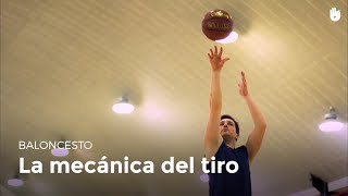 Cómo tirar a canasta  Baloncesto [upl. by Eimas]