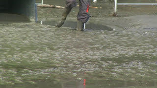 Reportage  Inondation du Sanctuaire de Lourdes se souvenir du 18 juin 2013 [upl. by Liuqnoj]