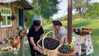 Recipe for blackberry compote and jam for the winter THE BEST EGGPLANT DISH [upl. by Nath]