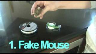 Fake Mouse Prank [upl. by Laure]