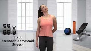 How to do a Sternocleidomastoid Stretch [upl. by Enerual]