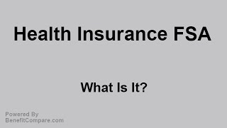 Health Insurance FSA  What Is It [upl. by Anilosi595]