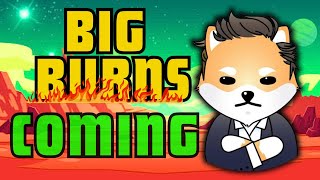 Revealing the Truth Burns Dogelon Mars Price Analysis [upl. by Eidak]