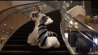 when the elevators at the furry convention are backed up  FWA 2023 [upl. by Dott]