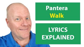 Pantera  Walk  LYRICS EXPLAINED  parody [upl. by Veronica821]